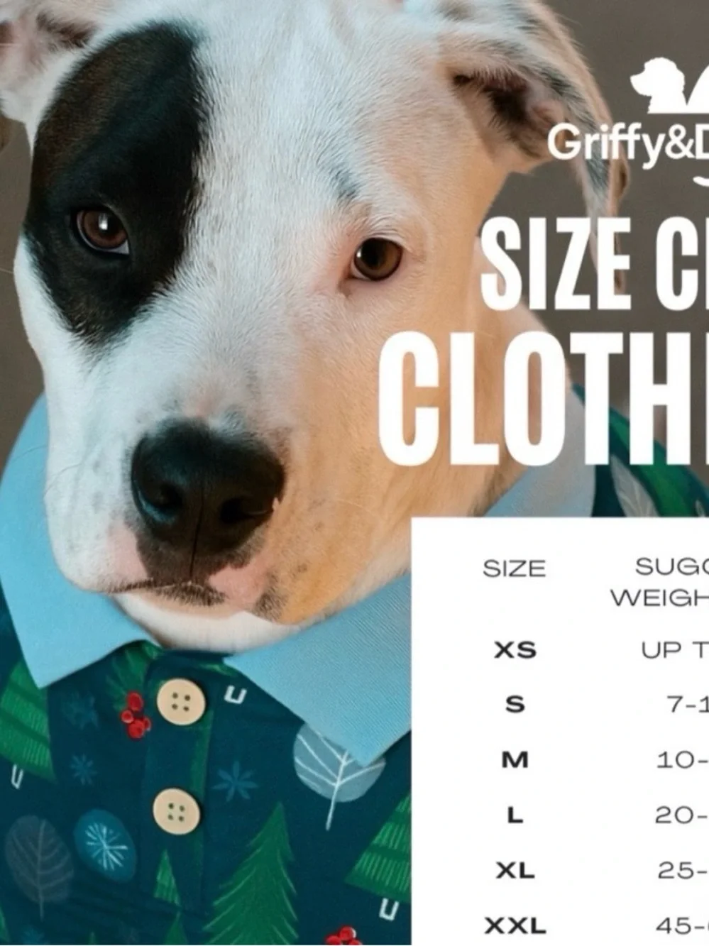 Leaf & Butterfly Ruffle Pet Shirt and Bandana Bundle